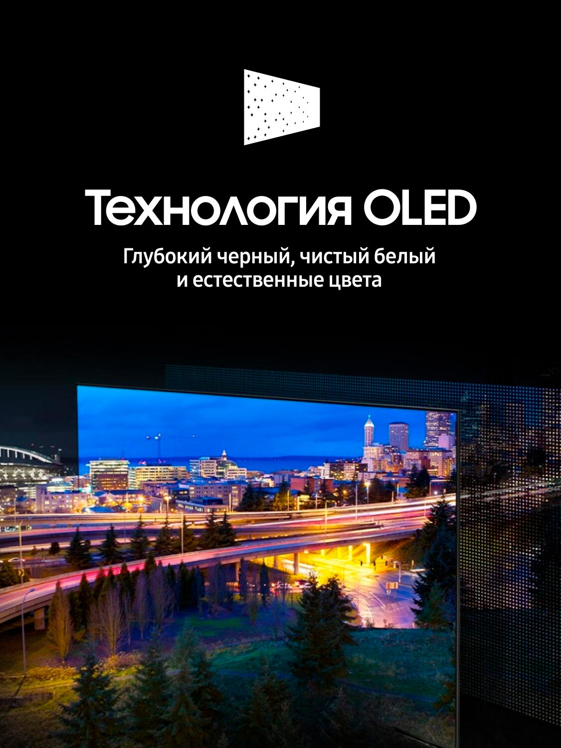 Телевизор Samsung QE65S90DAUXRU — фото 1