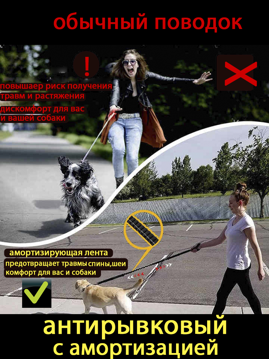 Картинки Поводок для собак антирывковый с амортизатором