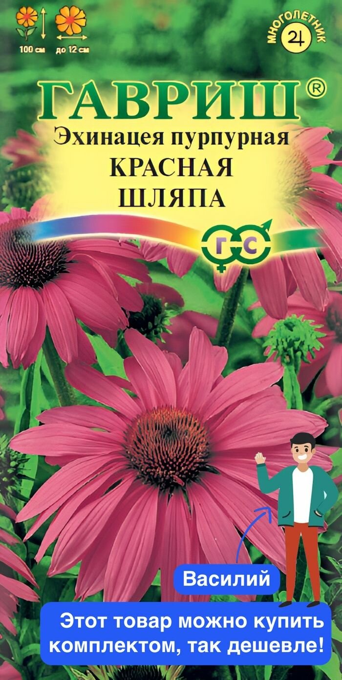 Цветы Эхинацея Красная шляпа