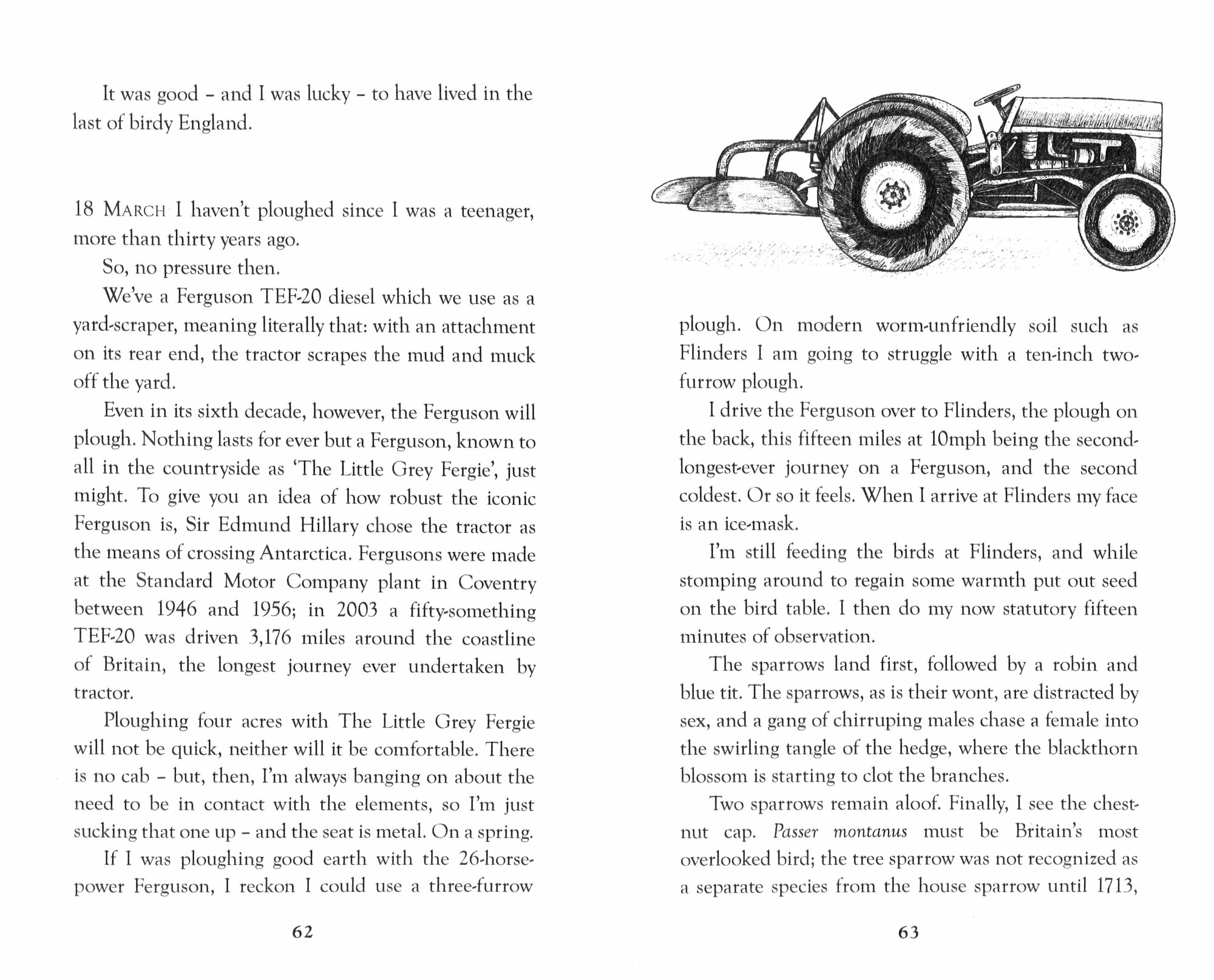 The Running Hare. The Secret Life of Farmland - фото №2