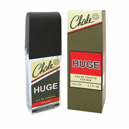 Парфюмерная вода Positive Parfum Chale HUGE edt100ml (9) духи positive parfum detonatorof energy edt100ml