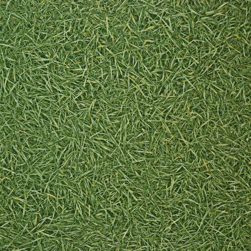 Изображение товара Линолеум для пола, Леолайн Бинго Грасс 25, толщина 2,6 мм, защитный слой 0,2 мм, 4х2.5 м.