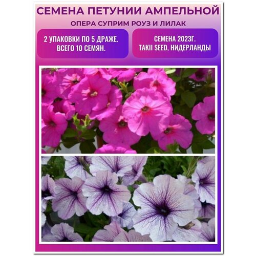 Петуния ампельная Опера 2 упаковки по 5 драже: Роуз и Лилак, TAKII Europe B.V.