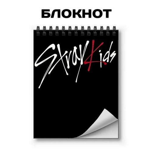 Блокнот для записей, GOODbrelok, Stray Kids , Стрэй Кидс; А6, на кольцах - 34