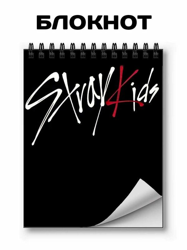 Блокнот для записей, GOODbrelok, Stray Kids , Стрэй Кидс; А6, на кольцах - 24