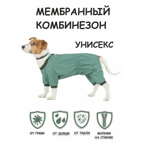 Комбинезон для собак Мартин Dogmoda унисекс мята размер 5