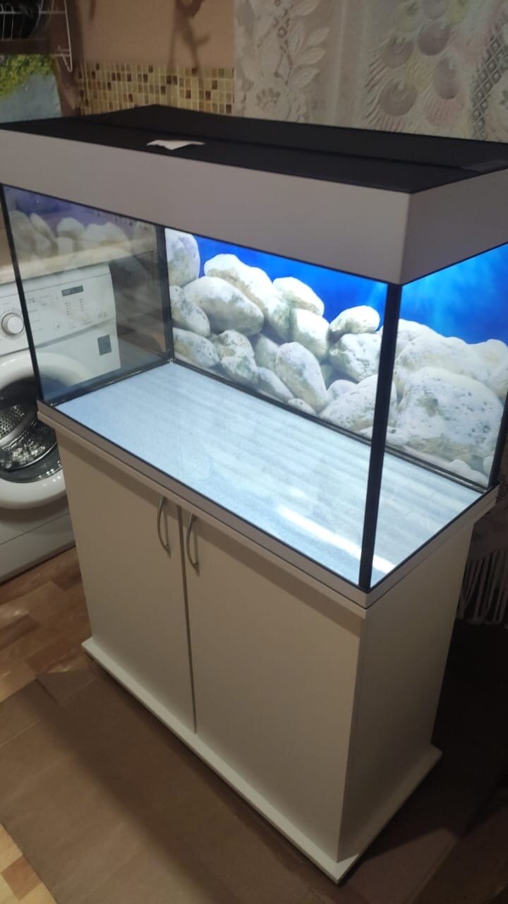 Аквариум 150 л AquariumBest с тумбой цвет Белый 85х36х57 (ДхШхВ)