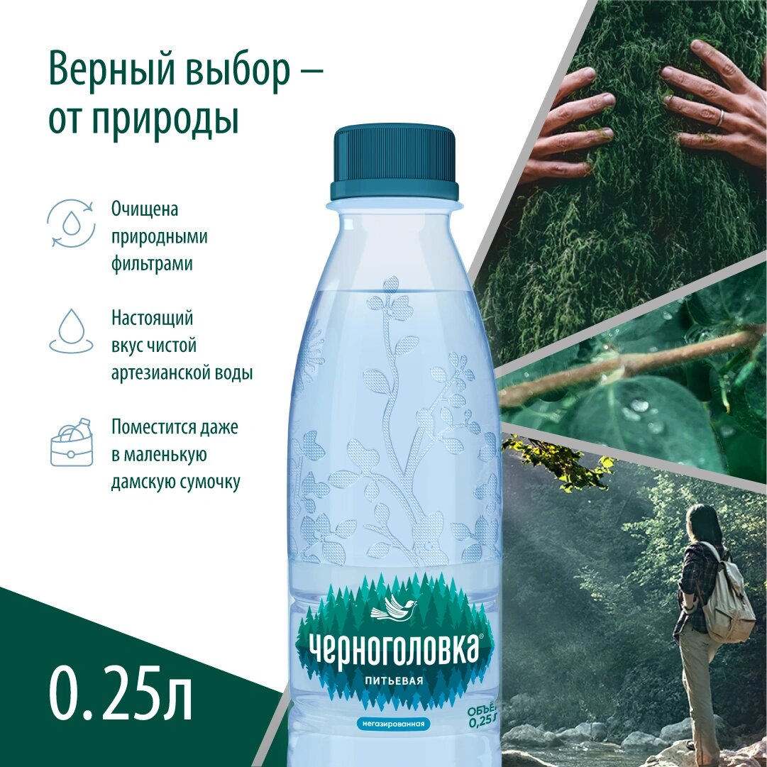 Вода питьевая "Черноголовская", 24 шт по 0,25л, без газа, ПЭТ