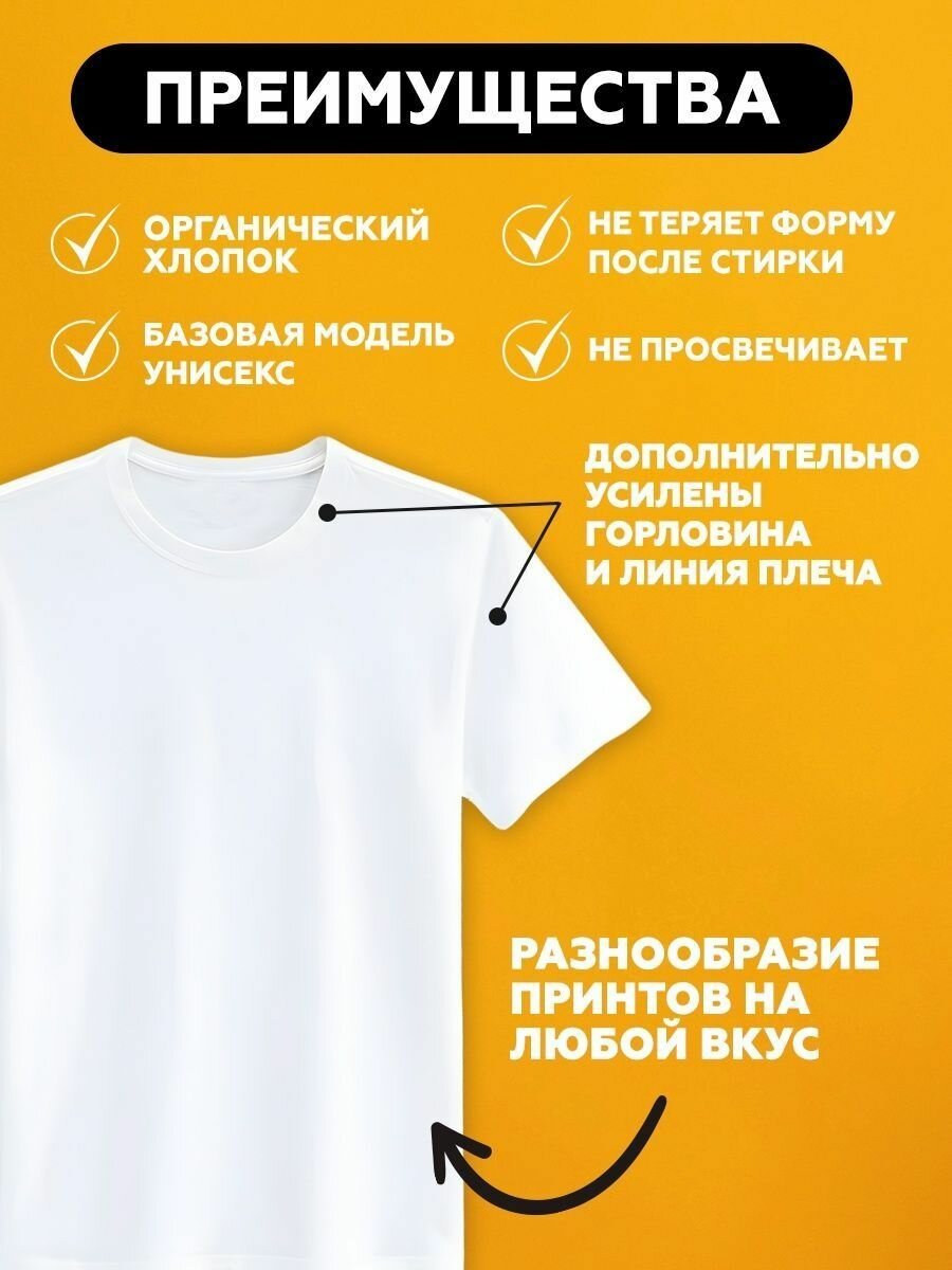 Футболка The north face антибренд