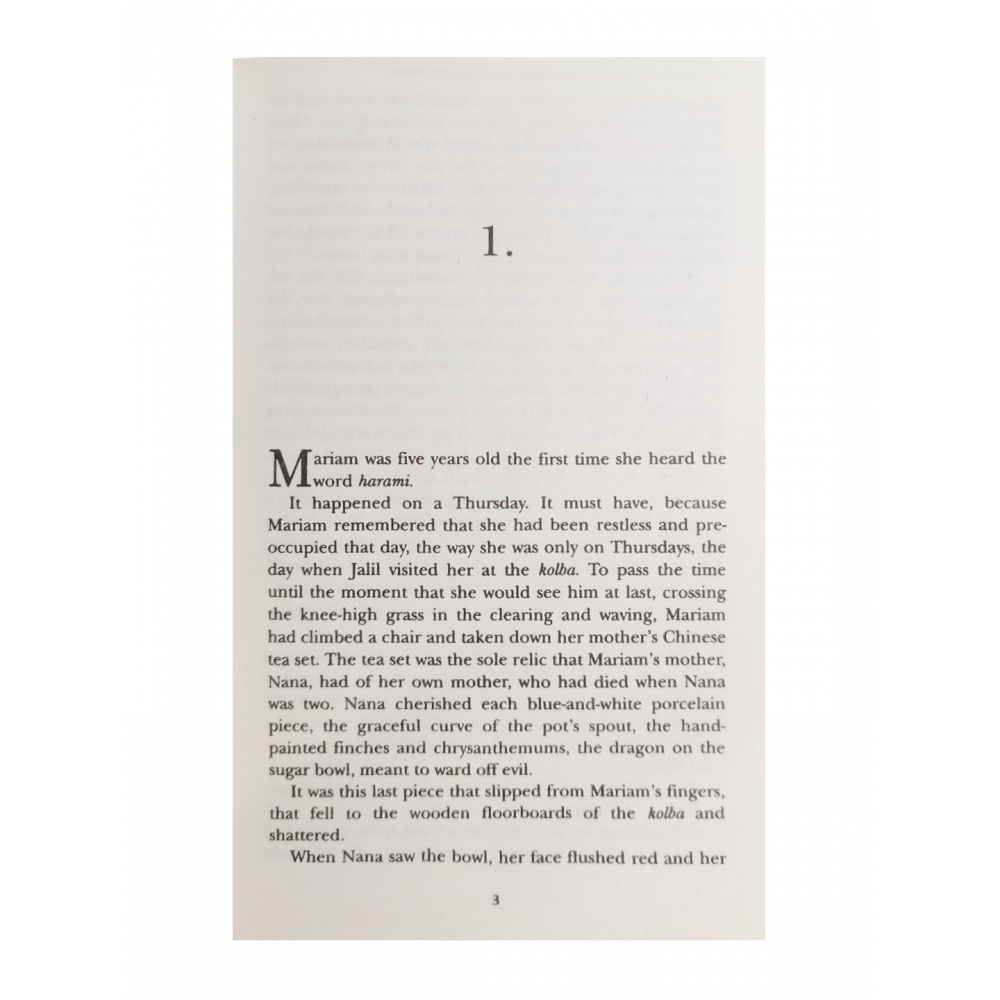 Книга A Thousand Splendid Suns - фото №9