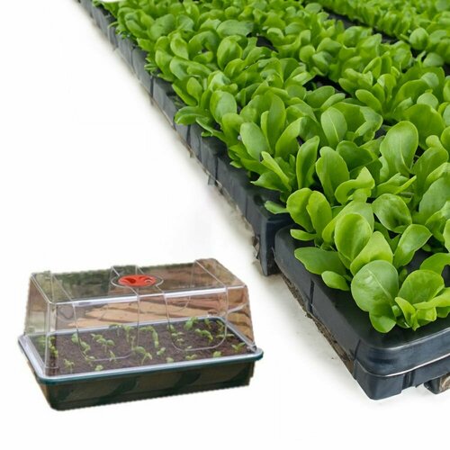 Гроубокс Garland MINI GROW BOX (SEMI-RIGID SMALL - G133)