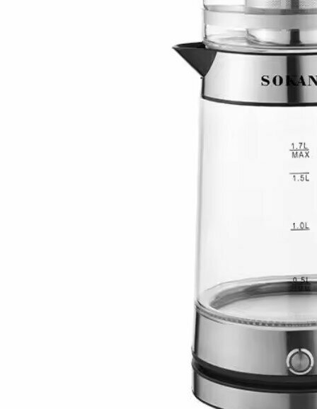 фото Тестовый образец- электрический чайник с заварочным чайником (Картинка)