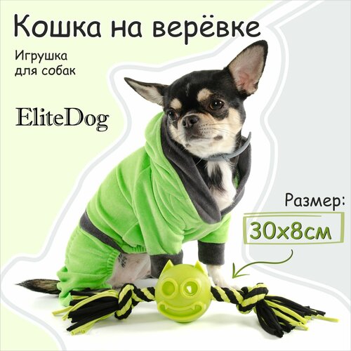 EliteDog Игрушка для собак "Кошка на верёвке", чёрно-зелёная, 7см