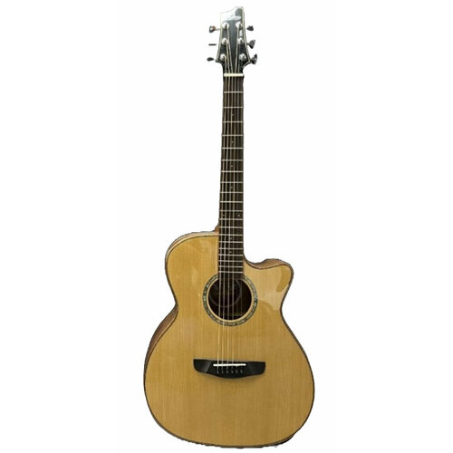 Акустическая гитара IZ S-S8-GA-N