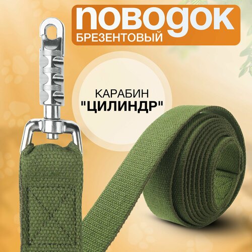 Поводок брезентовый 5 м х 35 мм, усиленный цилиндрический карабин, прошитый, для собак средних и крупных пород.