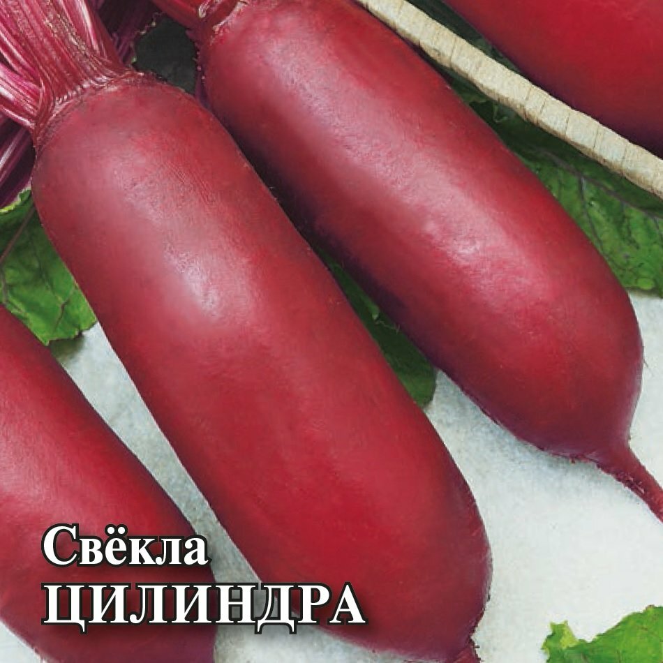Семена Свекла Цилиндра, 25г, Гавриш, Фермерское подворье, 2 пакетика