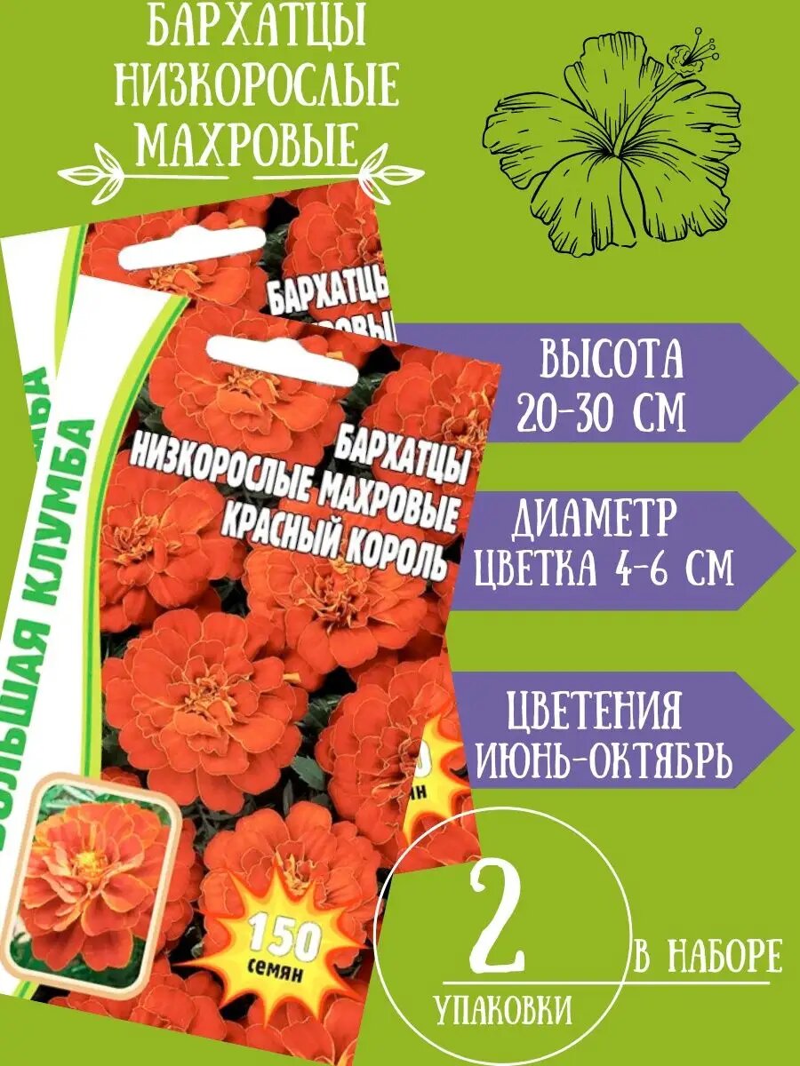 Бархатцы Низкорослые Махровые, 150 семян 2 упаковки