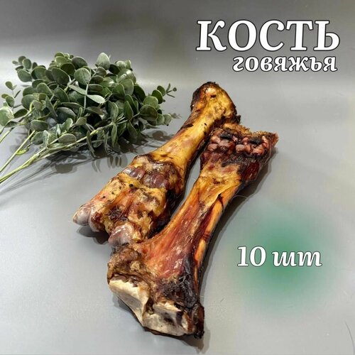 Натуральные лакомства для собак "Хищный нос" - Кость говяжья 10 шт.