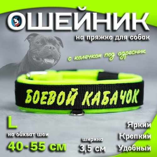 Ошейник для собак Buddy team на пряжке, с вышивкой боевой кабачок, ширина 3,5 см, с мягким подкладом для средних и крупных пород, размер L
