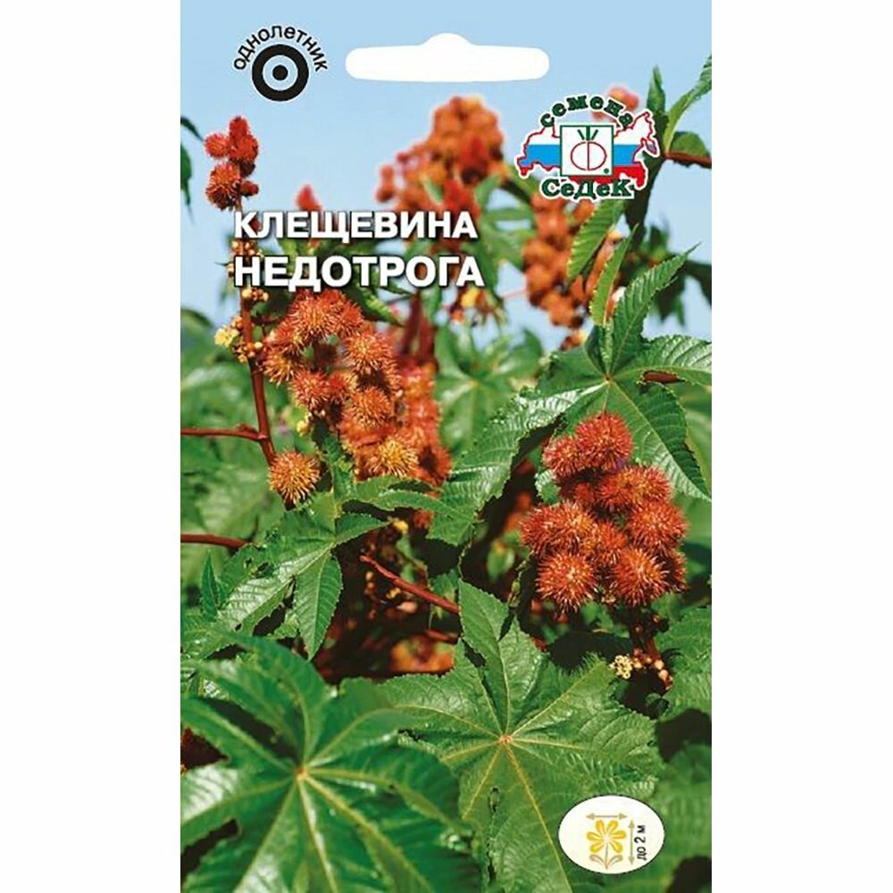 Клещевина Недотрога 2 г 3 штуки в наборе