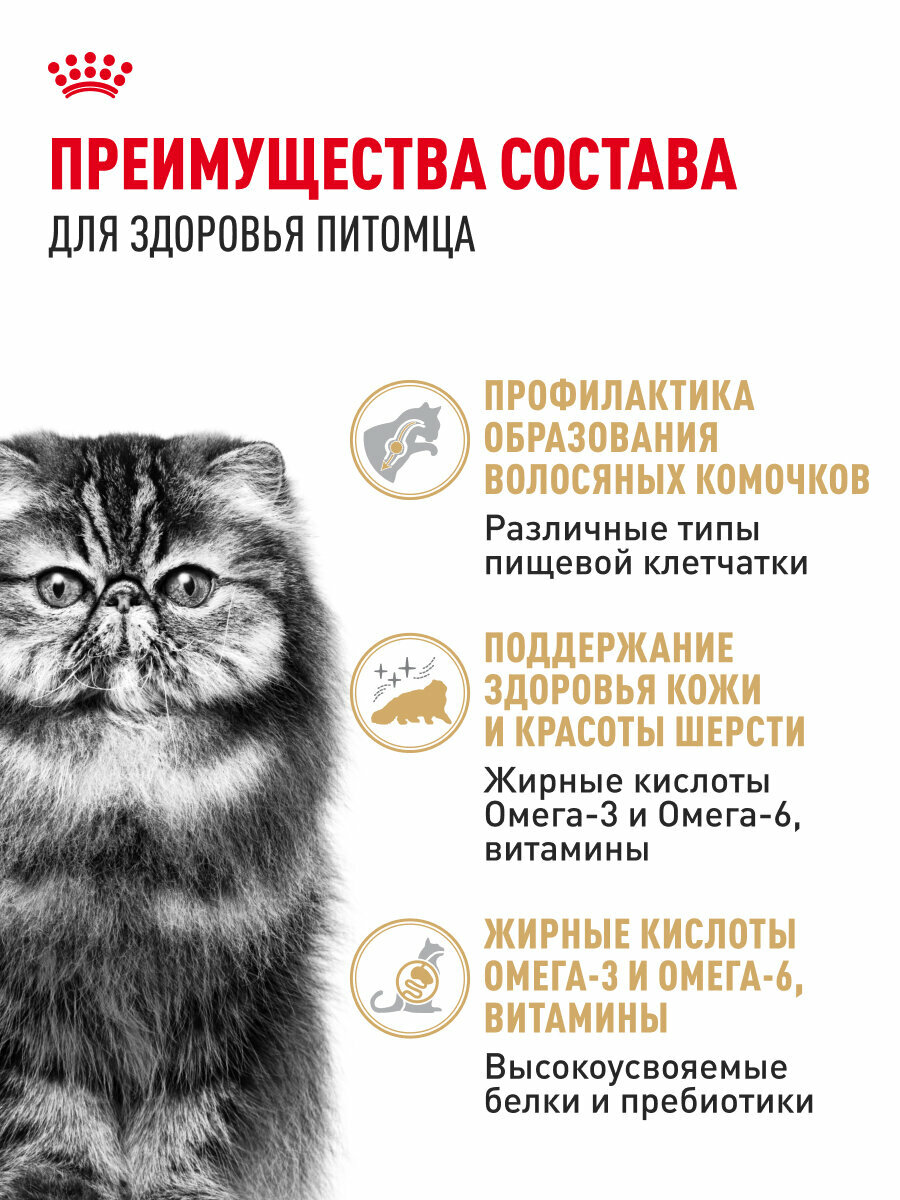 Сухой корм для кошек Royal Canin Adult для персидской породы, 0,4 кг — фото 1