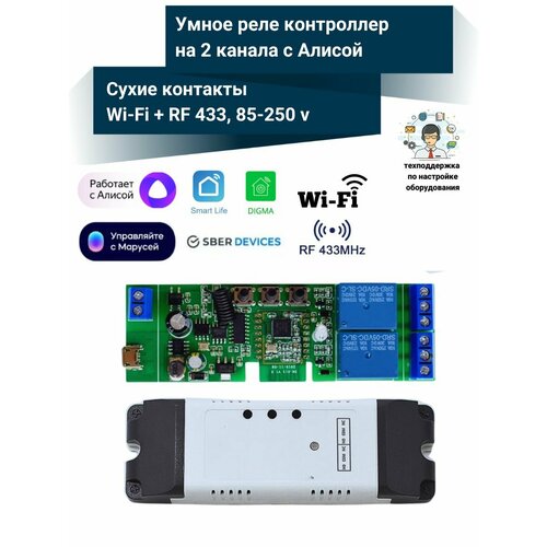 Умное реле с Алисой на 2 канала 220 В Wi-Fi Tuya RF 433 МГц 2200₽
