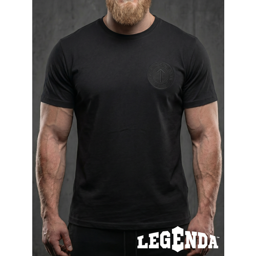 фото Футболка спортивная legenda тейваз, размер l