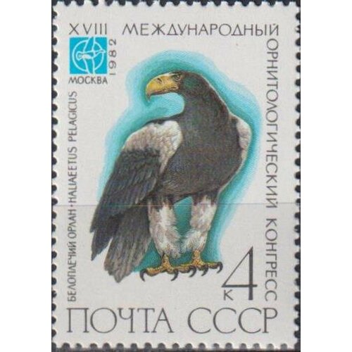 Почтовые марки СССР 1982г. Белоплечий орлан Птицы MNH почтовые марки ссср 1982г 18 й международный орнитологический конгресс птицы mnh