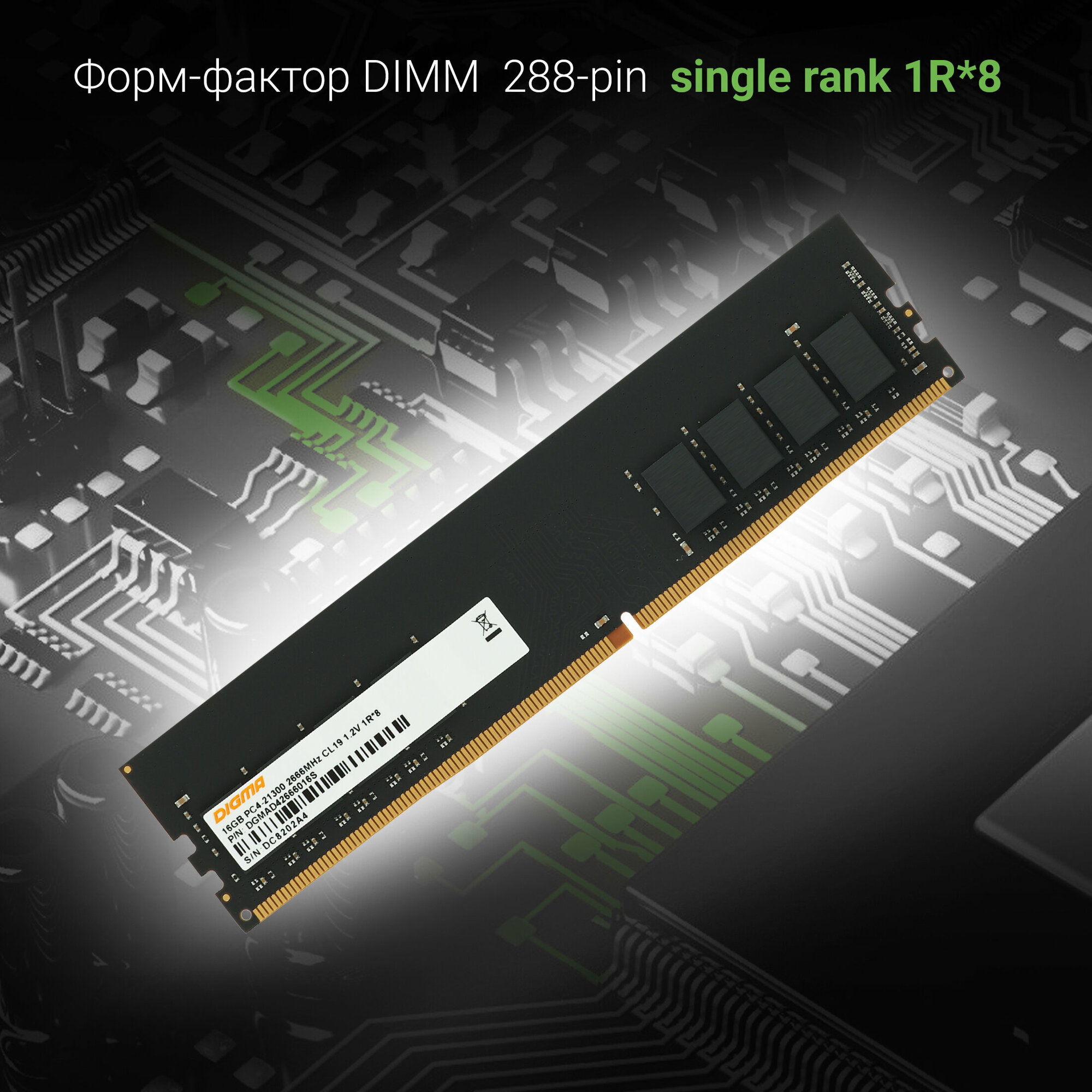 Оперативная память DDR4 16Gb 2666MHz Digma PC4-21300 CL19 DIMM 288-pin 1.2В single rank