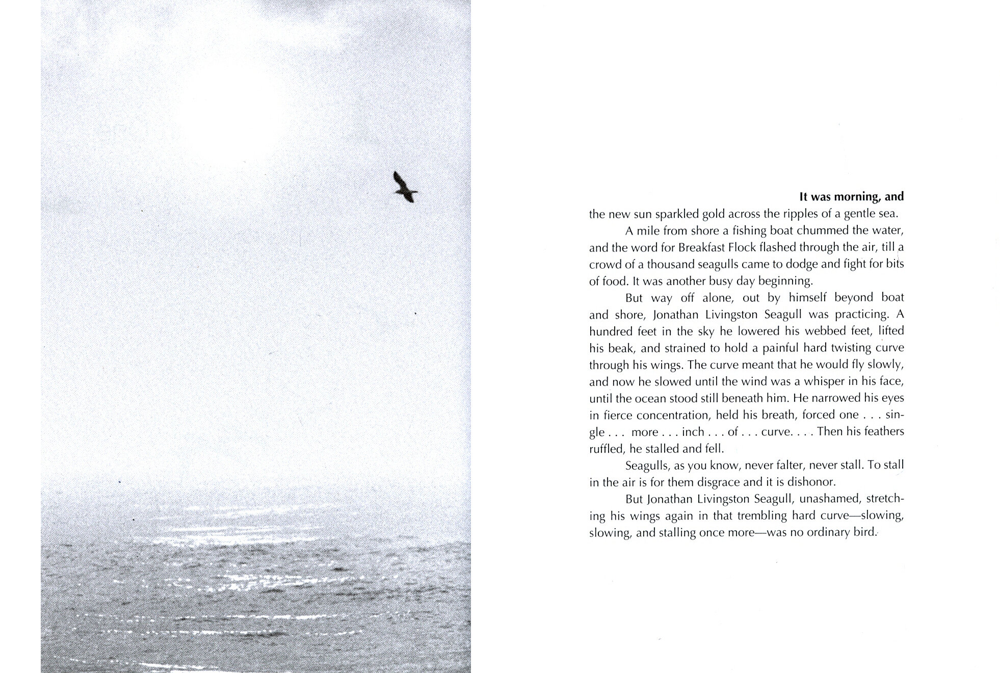 Jonathan Livingston Seagull (Річард Бах) - фото №3