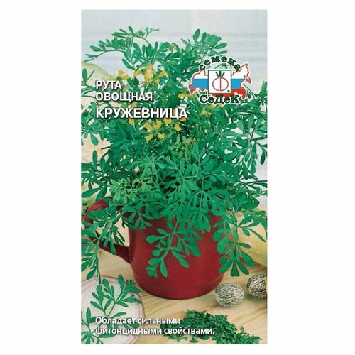 семена рута кружевница 0 1 г Рута овощная Кружевница Седек 211525, 26 шт.