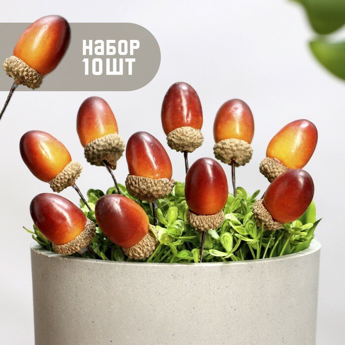 Топпер для творчества TAKE IT EASY «Желудь» набор 10 шт в цветы в кашпо 3×2 см