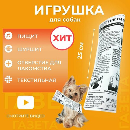 Игрушка для собак газета