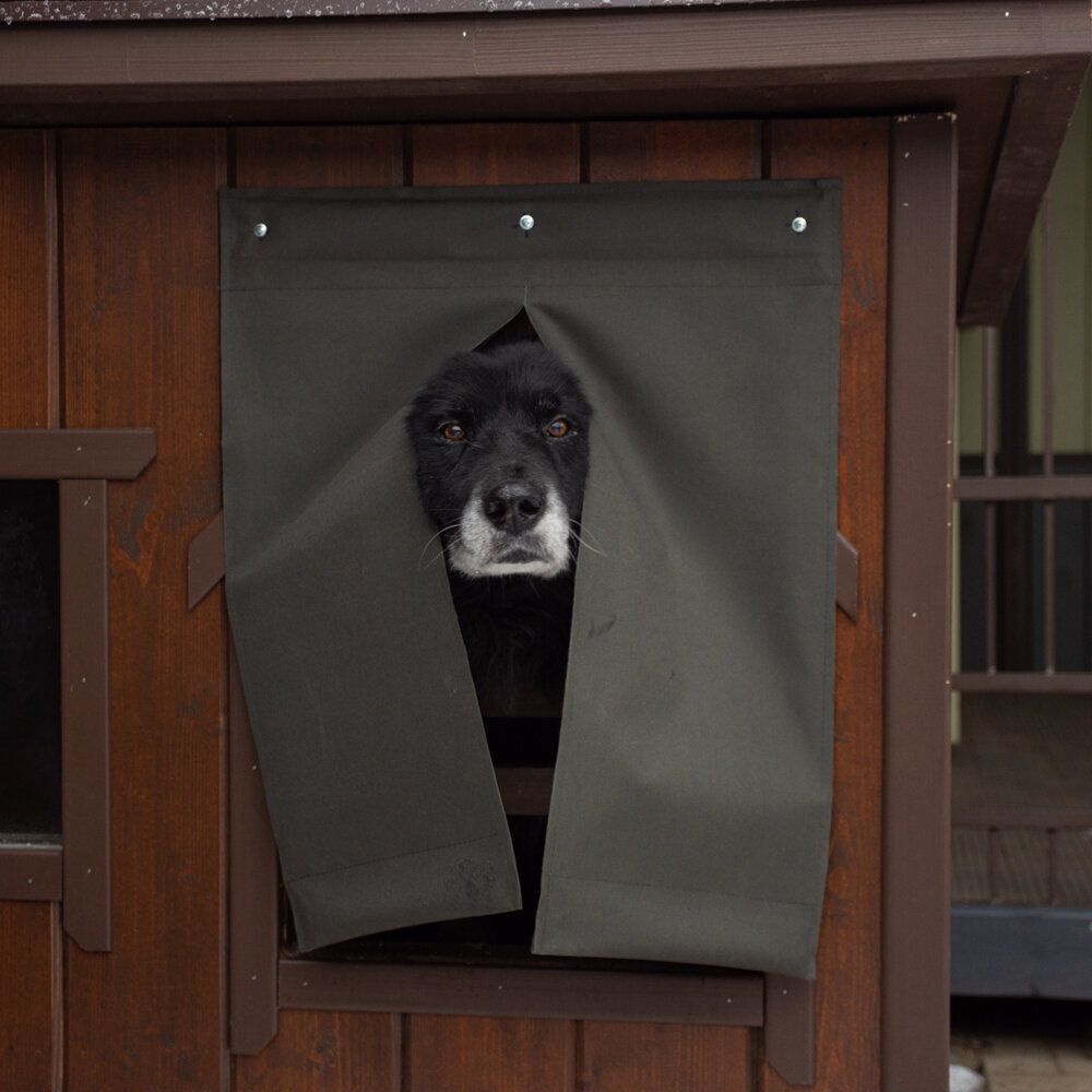 Шторка для лаза в собачью будку с разделением, зеленая(55х48) - фотография № 3