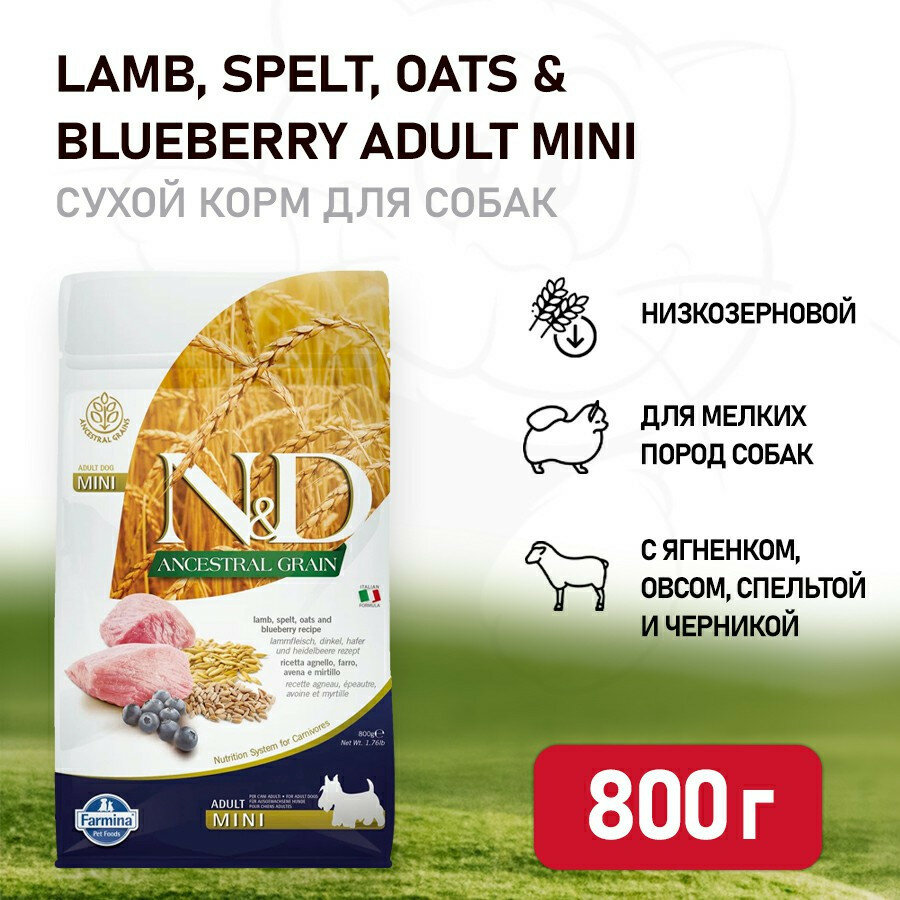 Farmina N&D Ancestral Grain Dog Lamb Blueberry Adult Mini сухой низкозерновой корм для взрослых собак мелких пород с ягненком и черникой - 800 г