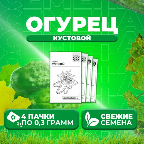 Огурец Кустовой, 0,3г, Гавриш, Белые пакеты (4 уп)