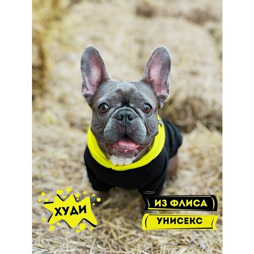 Худи для собак черный/желтый унисекс размер 6 - длина спины 42-44, обхват груди 62-64