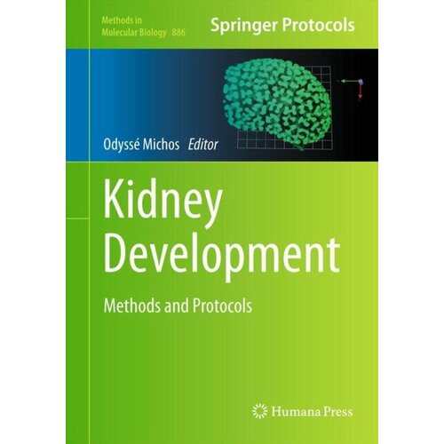 Michos "Kidney Development"