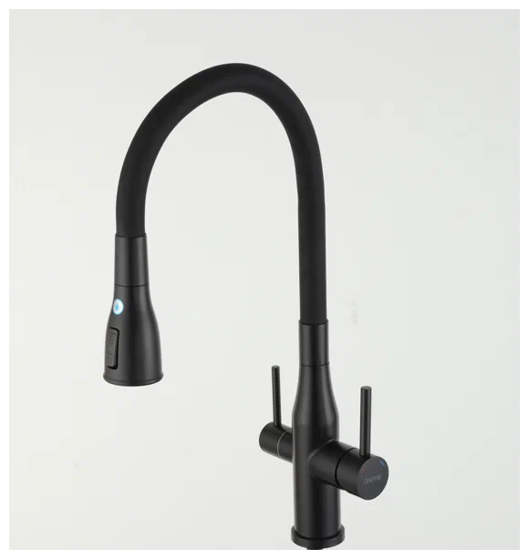 Gappo Смеситель для кухни с гибким изливом с подключением фильтра питьевой воды черный G4399-66