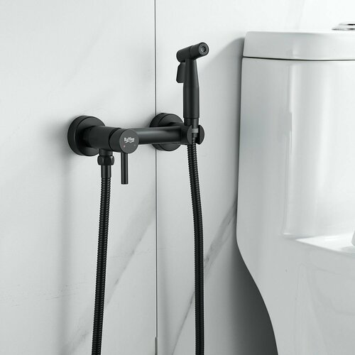 F207H Смеситель с гигиеническим душем из нержавейки, черный