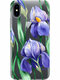 Amazing Irises