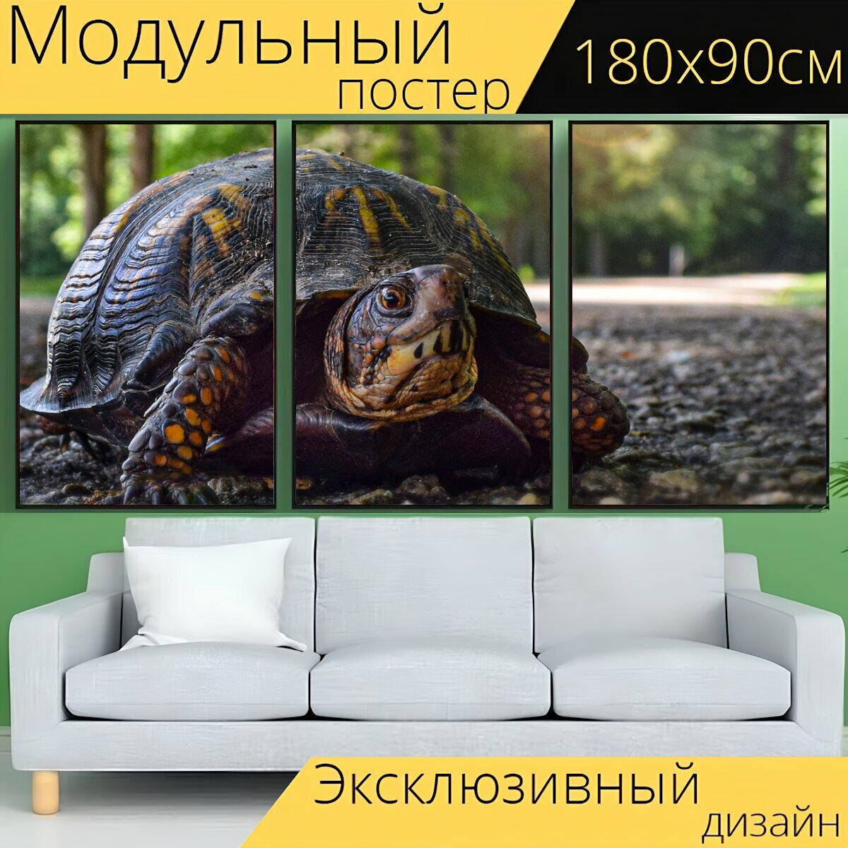 Модульный постер "Черепаха, природа, медленно" 180 x 90 см. для интерьера