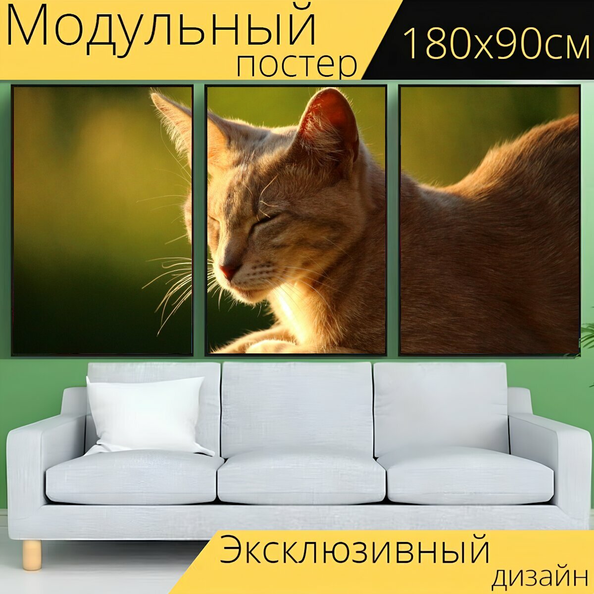 Модульный постер "Кот, котенок, тигровый кот" 180 x 90 см. для интерьера