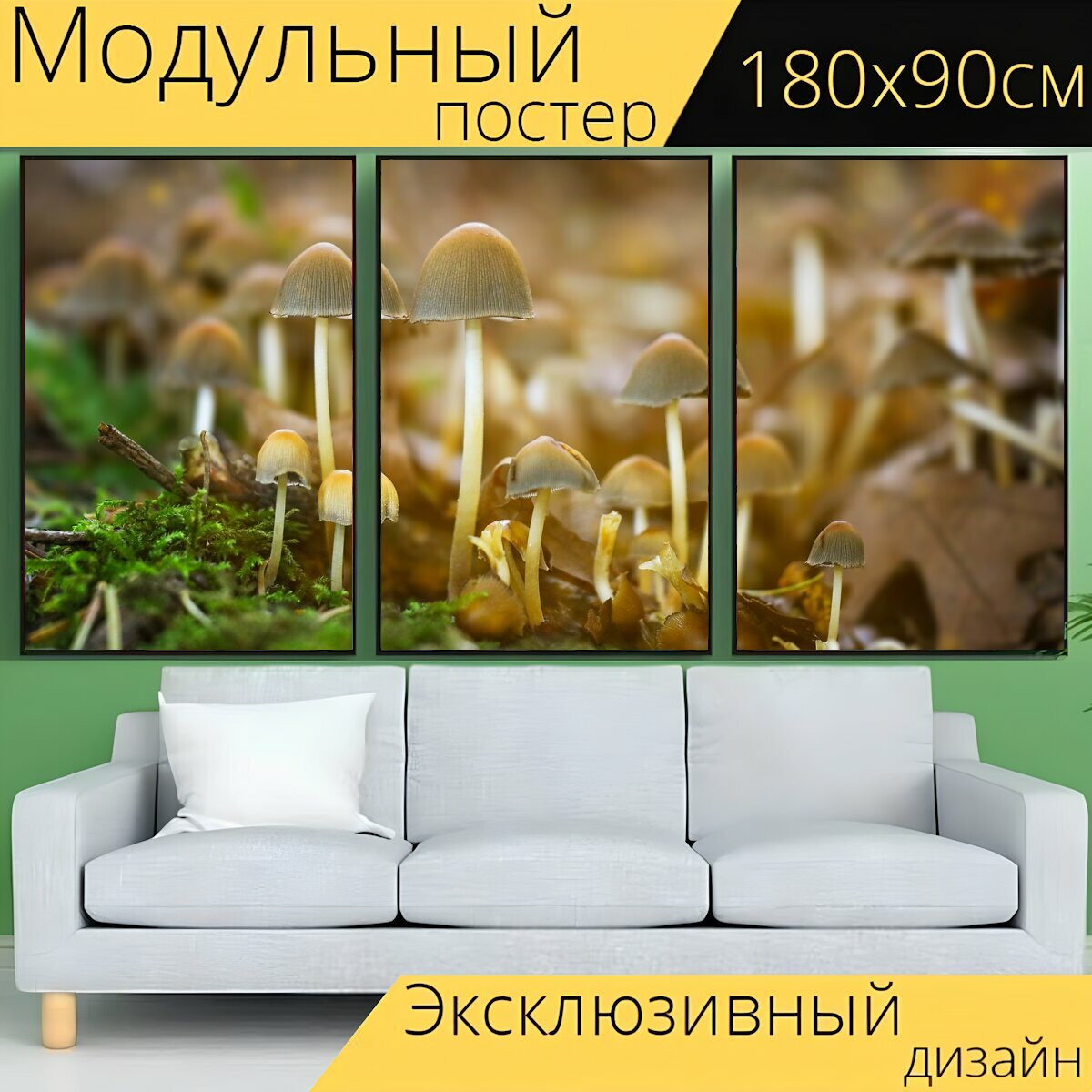 Модульный постер "Грибы, гриб, грибок" 180 x 90 см. для интерьера