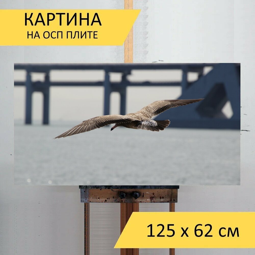 Картина на ОСП 125х62 см. "Чайка, летающий, птица" горизонтальная, для интерьера, с креплениями