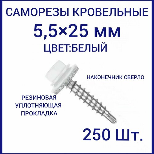 Саморез кровельный 5.5x25 цвет RAL-9003 белый 250шт