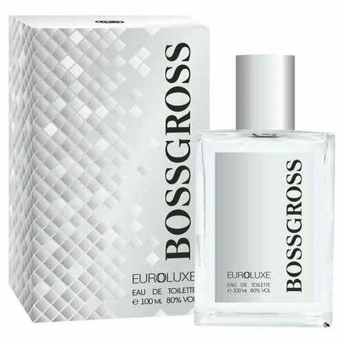 Euroluxe Туалетная вода Мужские духи Euroluxe Bossgross, 100мл. euroluxe men aqua blue туалетная вода 100 мл