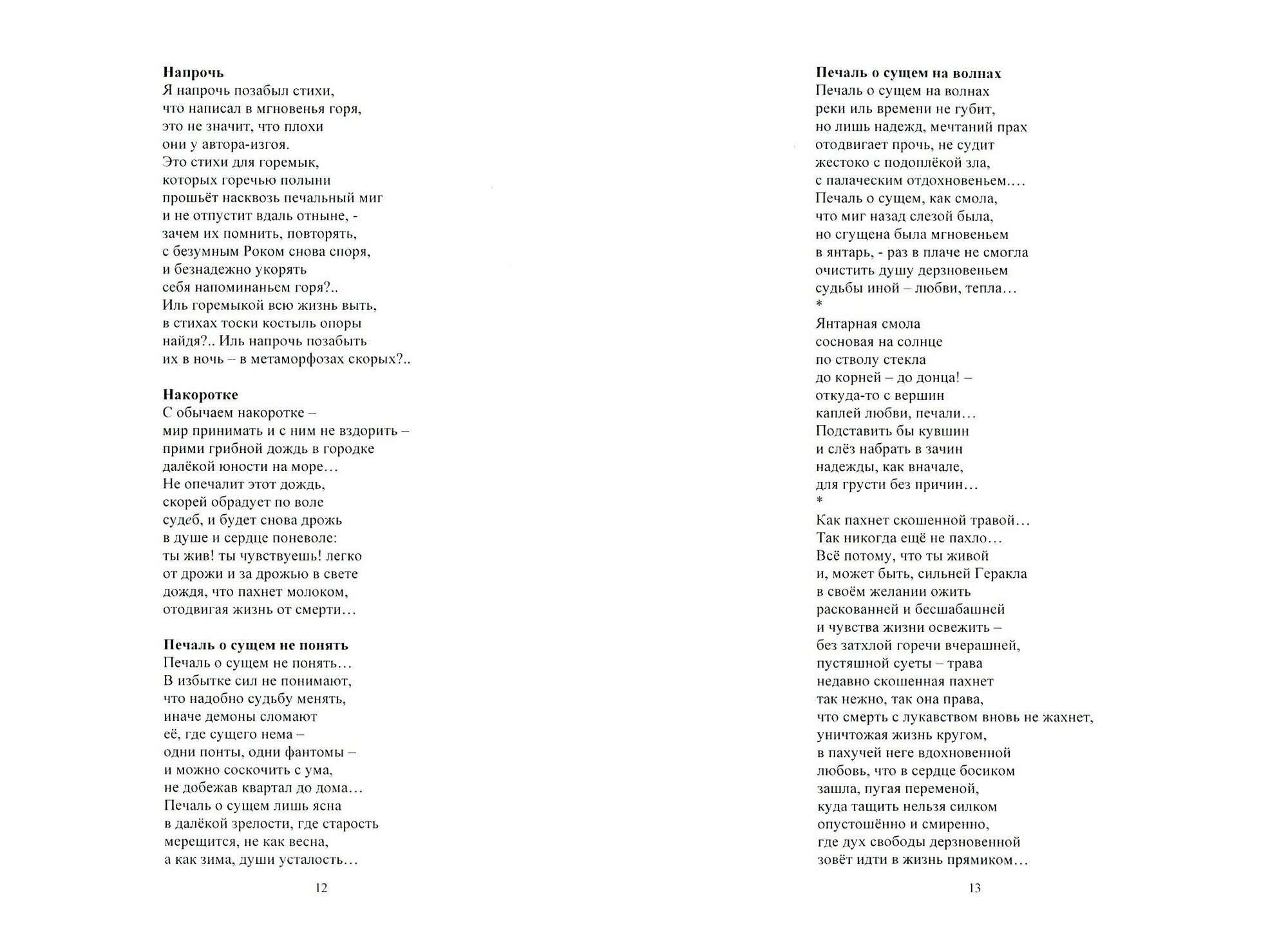 Печаль о сущем на волнах (Александр Николаевич Бубенников) - фото №2