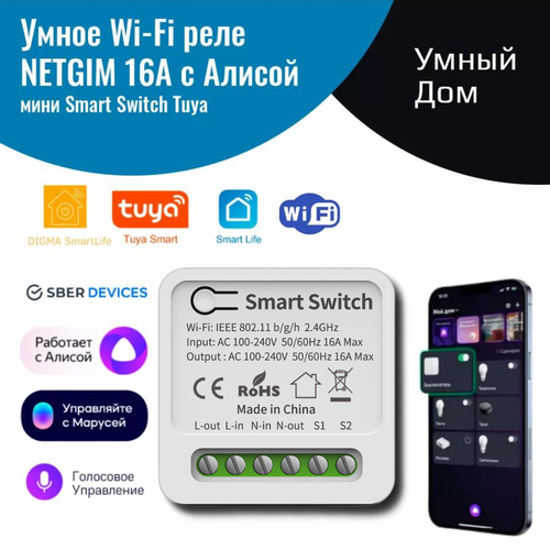 Умное реле с Алисой Яндекс NETGIM Tuya WiFi 16А – умный дом голосовое управление