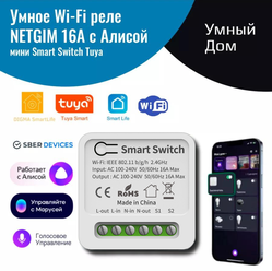 Умное реле с Алисой Яндекс NETGIM Tuya WiFi 16А – умный дом голосовое управление